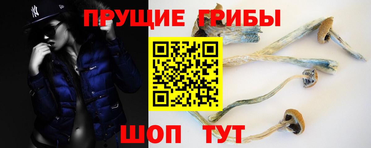 Псилоцибиновые грибы Magic Shrooms Междуреченск